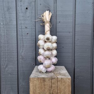 Morning Penni Farm Garlic braid - Small