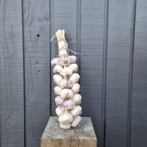 Morning Penni Farm garlic braid - large